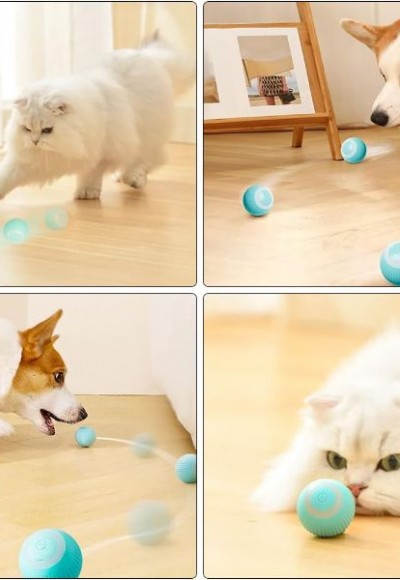 İnteraktif Kedi Köpek Şarjlı Oyun Topu