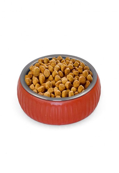 Mikopet Organik Seramik Mama Kabı Kiremit