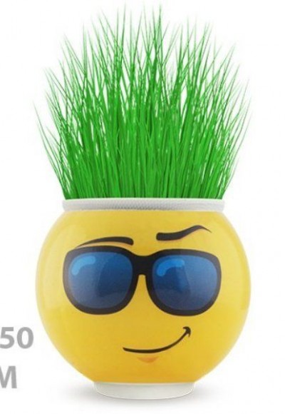 Çim Adam Saksı Emoji Figürlü 1 Adet