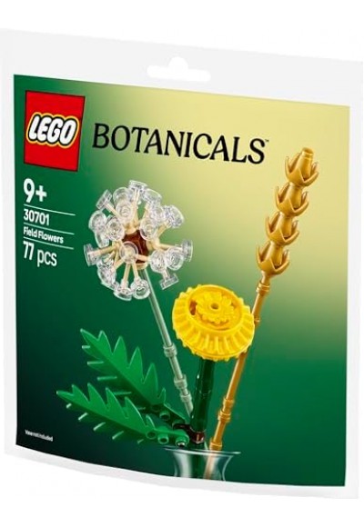 Tarla Çiçekleri 30701