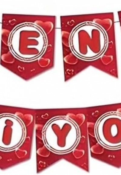 Zikzak Banner Seni Seviyorum M379